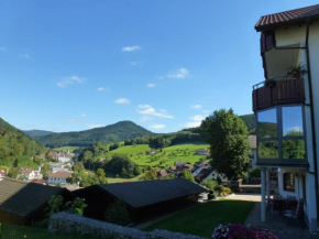 Ferienwohnung Schwarzwaldsteig Bad Peterstal-Griesbach